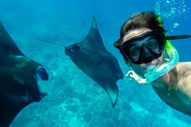 Nusa Penida Snorkeling 3 Point with Manta Bay & Land Tour - Entering the snorkeling morning: Manta Bay, Wall Point/Gamat Bay, Crystal Bay