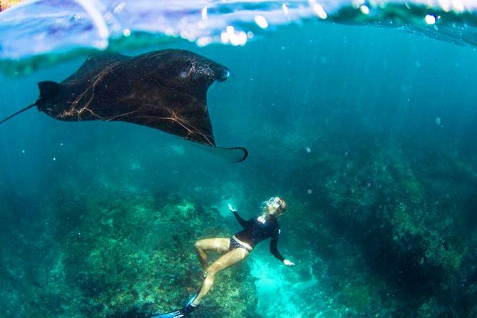 Nusa Penida Snorkeling & Kelingking Tour - Key highlights you should know before you go