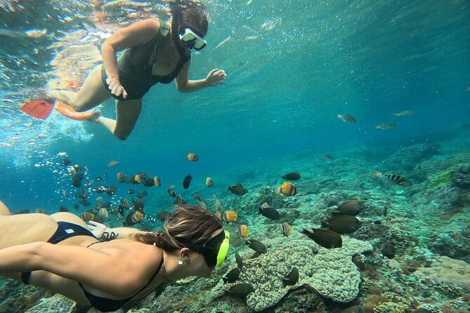 Nusa Penida : Snorkeling Trip Manta Point, Gamat Bay and Wall Bay - Manta Point: Your Best Odds for Majestic Rays