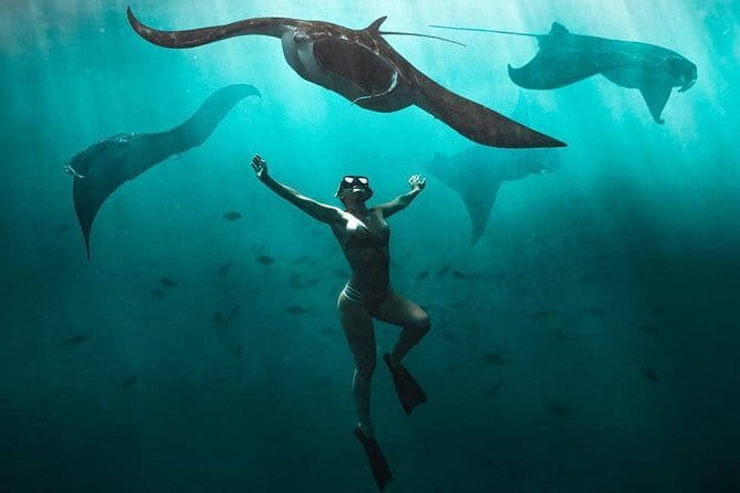Nusa Penida : Snorkeling Trip Manta Point, Gamat Bay and Wall Bay - Who Should Book This Nusa Penida Snorkeling Trip