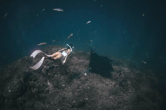 Nusa Penida : Snorkeling Trip Manta Point, Gamat Bay and Wall Bay - Should You Book? My Decision Checklist