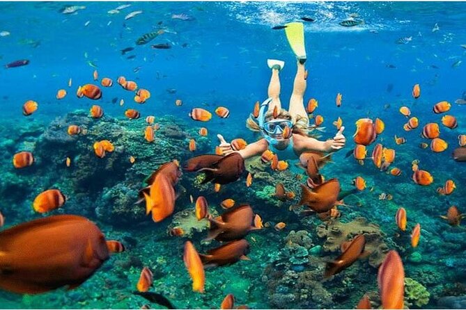 Nusa Penida Trip with Snorkeling all-Inclusive - Why This Nusa Penida Day Trip Works So Well from Kuta