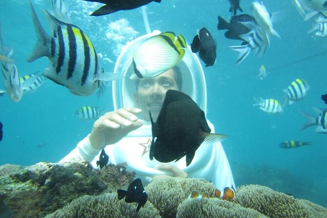 Nusa Penida Trip with Snorkeling all-Inclusive - Price and Value: What $81 Buys for a 10–12 Hour Penida Highlights Day