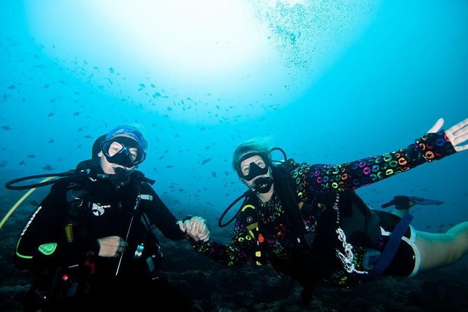 Nusa Penida Try Scuba Diving Program - for Non-Certified Divers - Key things I’d watch before you go