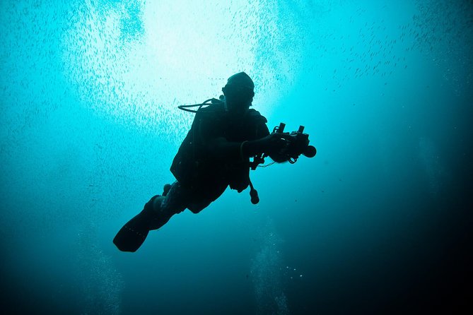 Nusa Penida Two Dives Trip for Certified Divers - Key Things I’d Put on Your Mental Checklist