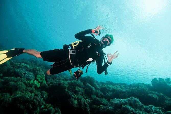Nusa Penida Two Dives Trip for Certified Divers - Two Underwater Sessions on Nusa Penida: Is This a Good Use of Your Time?