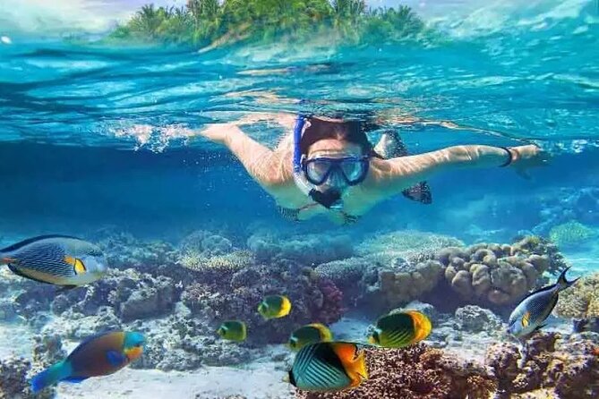 Nusa Penida West trip with snorkeling at 3 spot with Free Meals - Key highlights you’ll feel right away