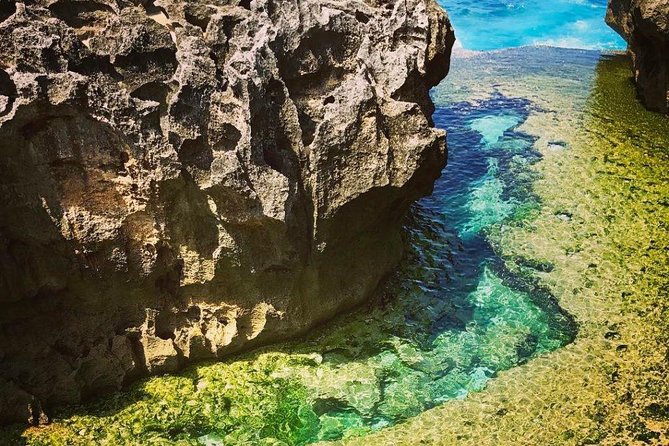 Nusa Penida West trip with snorkeling at 3 spot with Free Meals - Why This Nusa Penida West Day Feels Efficient