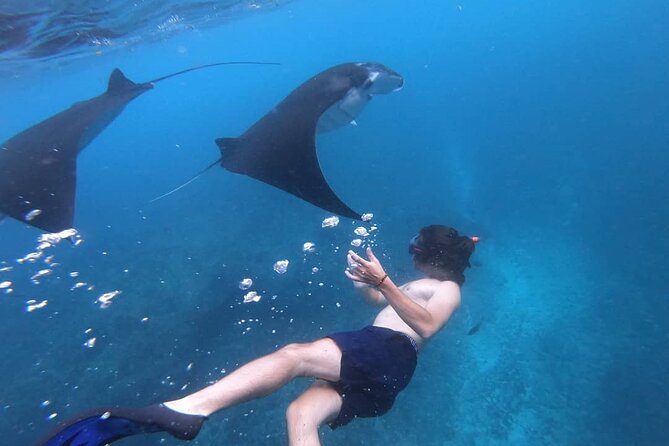 One Day Snorkeling Trip & West Tour Nusa Penida by Penidago - Price and value: what $25 buys (and what it doesn’t)