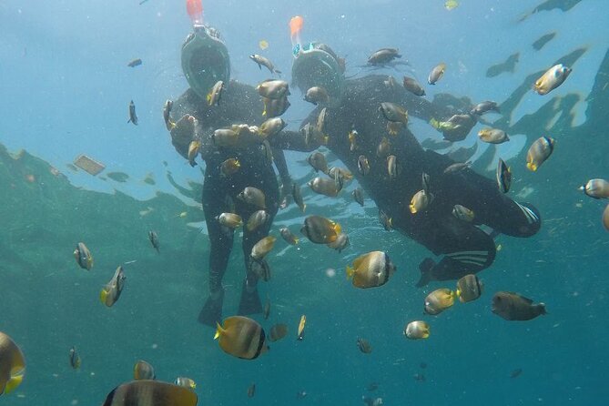 One Day Snorkeling Trip & West Tour Nusa Penida by Penidago - Who should book this West Tour style day