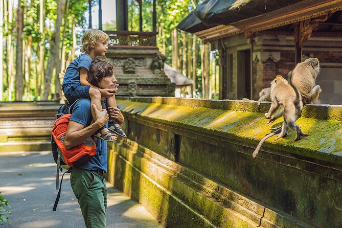 One Day Tour Ubud With Private Guide - Key highlights worth planning for