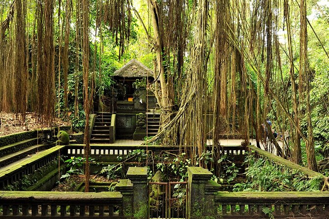 One Day Tour Ubud With Private Guide - A Private Ubud Day That Gets You Beyond the Postcard Route