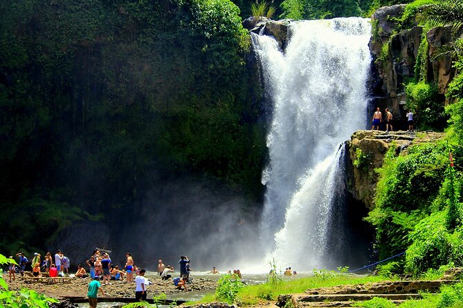 One Day Tour Ubud With Private Guide - Pura Tirta Empul: Hindu Culture, Holy Spring Water, and the Purification Ritual