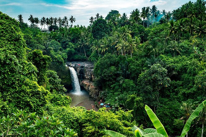 One Day Tour Ubud With Private Guide - Coffee Plantation Tea Stop: Warming Up and Learning the Balinese Coffee Process