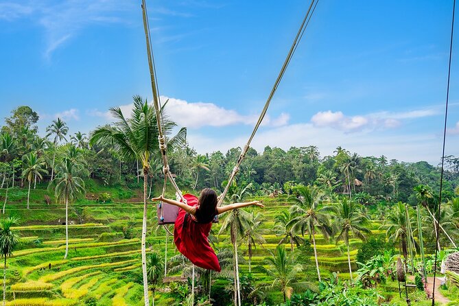 One Day Tour Ubud With Private Guide - Waterfall Finale in Ubud: Photos, Jungle Views, and a Chance to Go Down