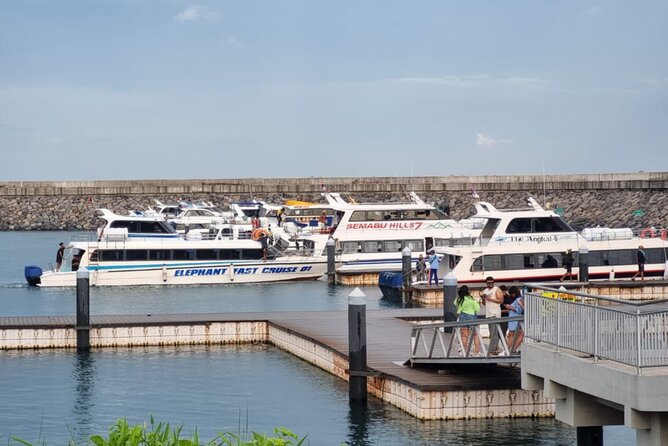 One-way Ticket Fast Boat from Sanur Bali or Nusa Penida - Group Size: Up to 100, So Plan Like a Real Person