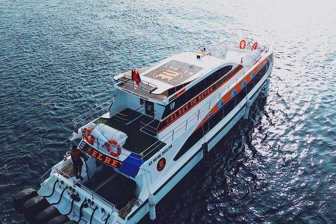 One-way Ticket Fast Boat from Sanur Bali or Nusa Penida - Departure Schedules: Build Your Day Around Time Windows