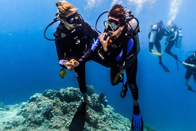 Open Water Course in Nusa Lembongan - Get Certified on remote island (next Bali) - Gear Included Means Less Stress on Day One