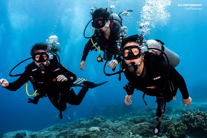 Open Water Course in Pemuteran - Get Certified in Bali - Value and logistics you should know before you commit