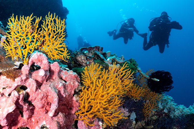 Open Water Course in Pemuteran - Get Certified in Bali - Instructor support: why names like David and Jesús González matter