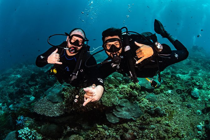 Open Water Course in Tulamben - Get Certified in Bali - Shallow-water sessions: where confidence gets built