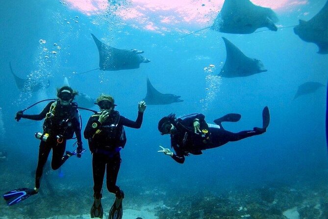 PADI Open water Course in Lembongan - Get certified & dive anywhere in the world - Key things worth knowing