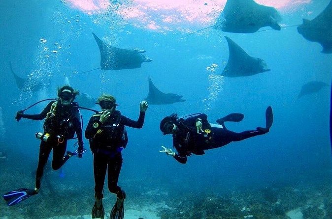PADI Open water Course in Lembongan - Get certified & dive anywhere in the world - Instructors, safety, and why small groups matter