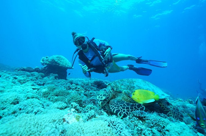 PADI Open water Course in Lembongan - Get certified & dive anywhere in the world - Price in context: is $425 good value in Lembongan?