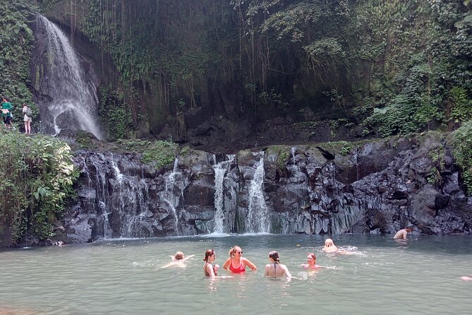 Penglipuran Village Waterfall Swing Private Guided Tour - Door-to-door pickup: the real value in “private”