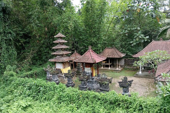 Penglipuran Village Waterfall Swing Private Guided Tour - Kemenuh Monkey River: long-tailed monkeys in the tropical forest