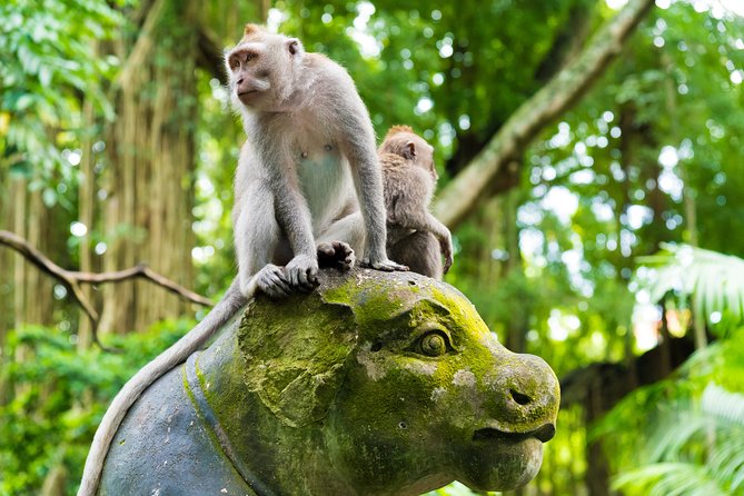 Pick 5 Destinations: Customized Ubud Tour - Designing Your Day: picking five stops that match your mood
