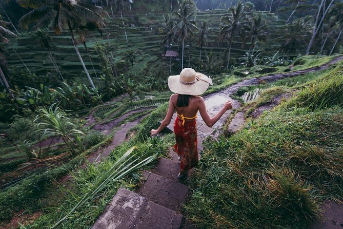 Pick 5 Destinations: Customized Ubud Tour - Tegalalang Rice Terrace: a short trek for real photo angles