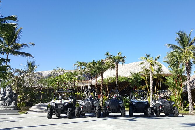 Premium White Water Rafting and Jungle Buggies in Bali - Price and value: why $43 can work if you want an active day