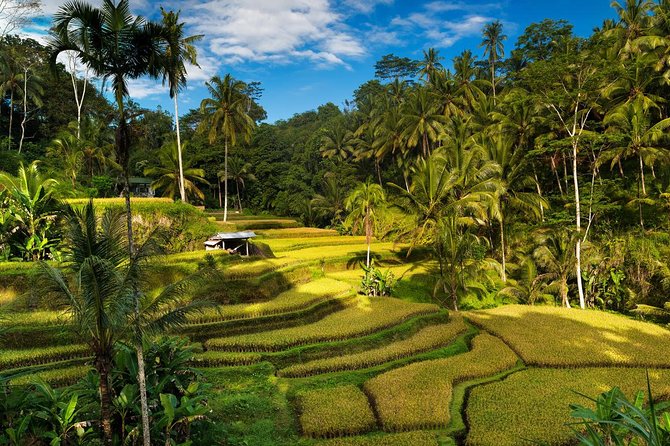 Private 4-Day Tours - Best Bali Tours Package - Best of Bali Highlights - Why this 4-day Best of Bali route works from Kuta