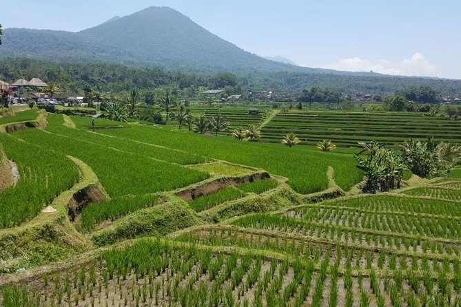 Private 4-Day Tours - Best Bali Tours Package - Best of Bali Highlights - How to plan your days so you don’t feel rushed