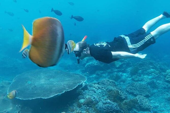 Private All Inclusive Nusa Penida Snorkeling and Tour - The Real Star: Snorkeling at Manta Point