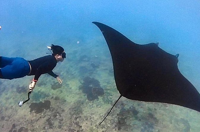 Private All Inclusive Nusa Penida Snorkeling and Tour - Kelingking Beach: The T-Rex View Costs a Little Effort