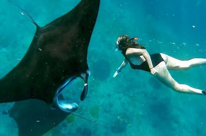 Private All Inclusive Nusa Penida Snorkeling and Tour - The Logistics That Actually Matter (Pickup, Boat Timing, and Private Comfort)