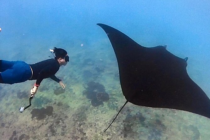 Private All Inclusive Nusa Penida Snorkeling and Tour - Crystal Bay and Angel’s Billabong: Calm-Water Time on Purpose