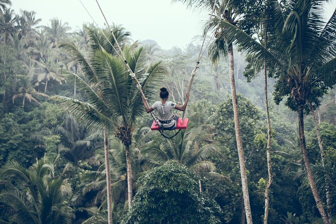 Private Bali Car Charter with Driver up to 6 People - Why a private Bali car charter beats self-driving on a long day