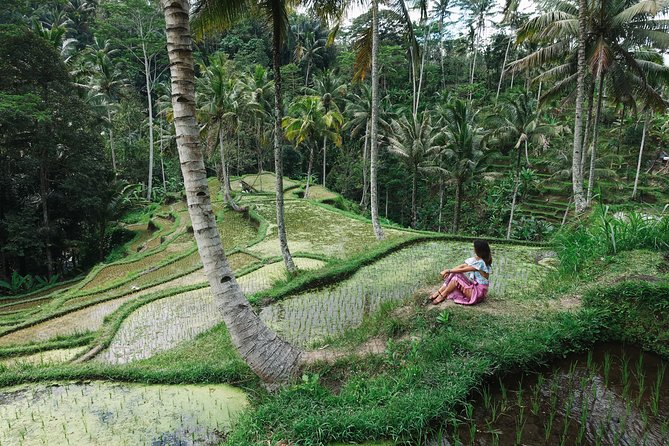 Private Bali Car Charter with Driver up to 6 People - Photo stops that work if you love quick wins: Upside Down World and DMZ 3D