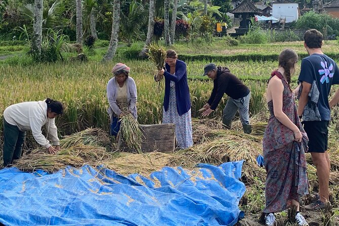 Private Bali Custom Tour – Full Day with English-Speaking Driver - Ubud Valley Picks: Rice Terraces, Sacred Springs, and Waterfalls