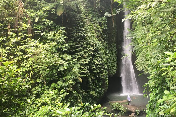 Private Bali Custom Tour – Full Day with English-Speaking Driver - Should You Book This Private Custom Tour?