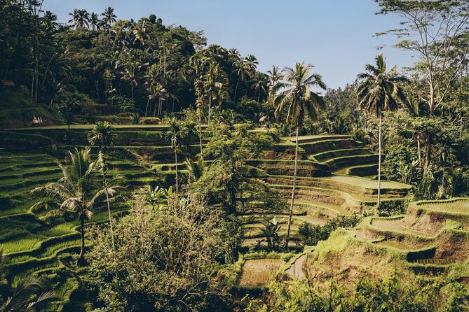 Private Bali Custom Tour – Full Day with English-Speaking Driver - How the 8–10 Hour Day Gets Packed: 25-Minute Stops and Realistic Choices