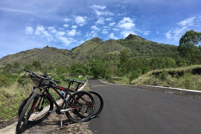 Private Bali Day Tour - Tegalalang - Kintamani and Temple Tour - Kintamani Lunch With a Mountain View (And What It Costs)