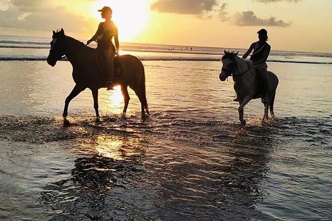 Private Bali Horse riding at saba beach - Who this horse ride fits best (and who should reconsider)