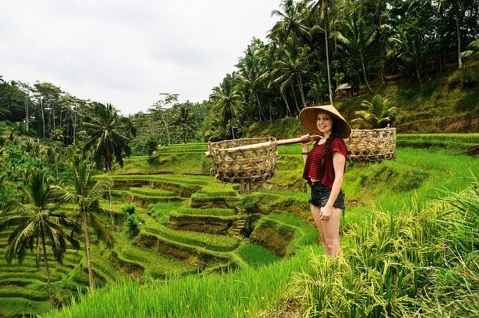 Private Bali Tour - All Inclusive - Price and what $29 really means for your day
