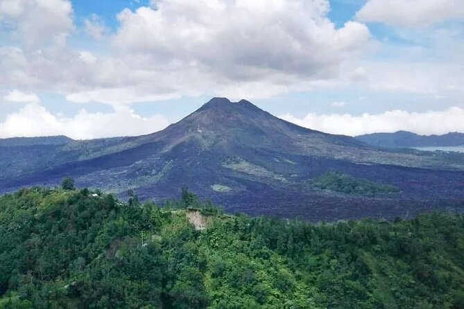 Private Bali Tour: Kintamani Volcano and Besakih Temple - Price and Value: Why $72 Can Be a Fair Deal for a Packed Day