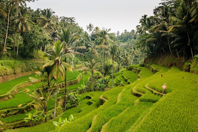 Private Bali Tour: Kintamani Volcano and Besakih Temple - Good to Know Before You Go: Timing, Private Pickup, and What to Bring