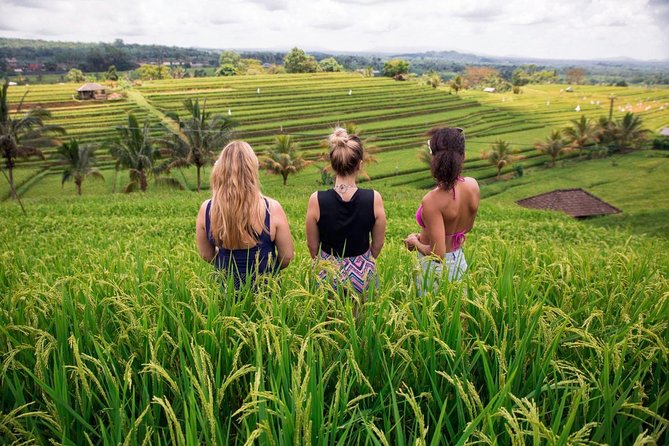 Private Bali Tour: The Most Scenic Places - Lunch at the rice terraces: buffet with big views
